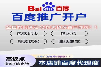 SEM推广实战：成功案例剖析